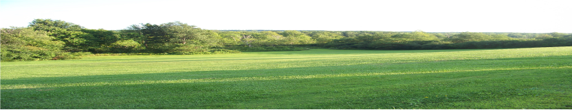 headerphoto