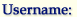 Username
